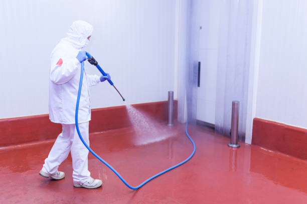 Best Paint Preparation  in Boyes Hot Springs, CA